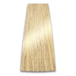 Color Art Prosalon Farba 10/3 Blond